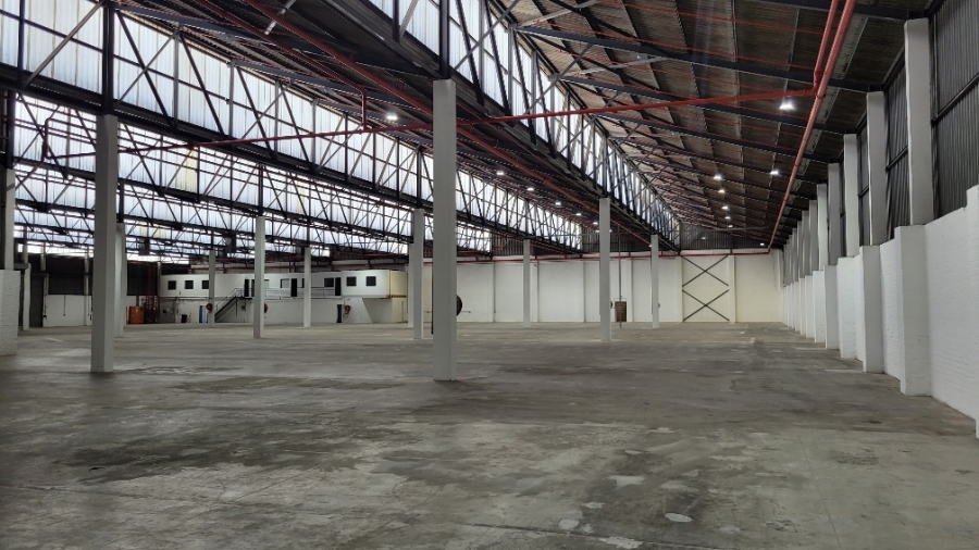 To Let commercial Property for Rent in Epping Industrial Western Cape